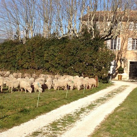 B&B Domaine Le Clos Du Pavillon Brignoles Exteriör bild