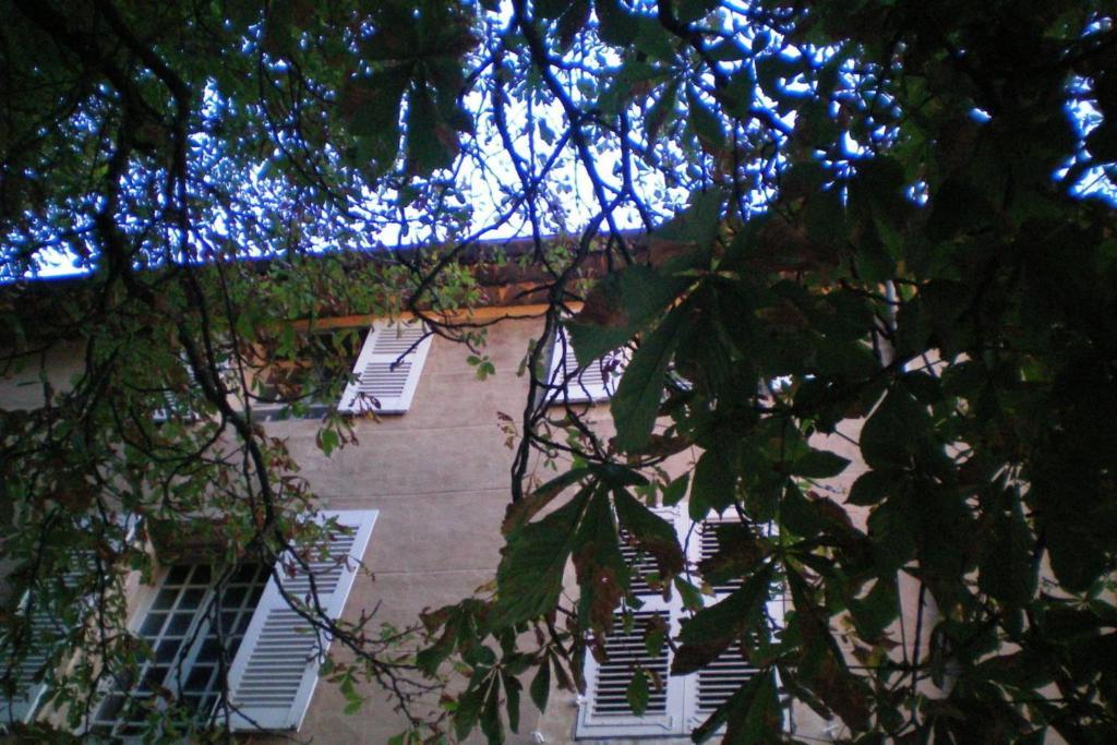B&B Domaine Le Clos Du Pavillon Brignoles Exteriör bild